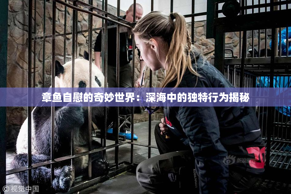 章鱼自慰的奇妙世界：深海中的独特行为揭秘