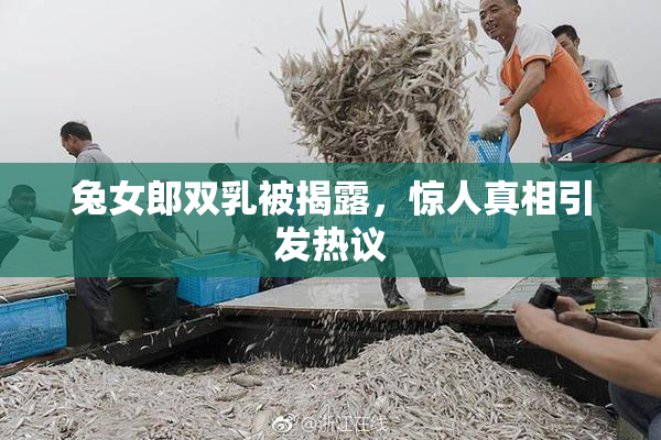 兔女郎双乳被揭露，惊人真相引发热议