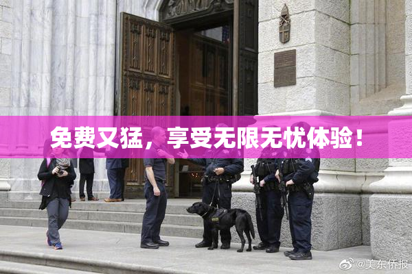 免费又猛，享受无限无忧体验！