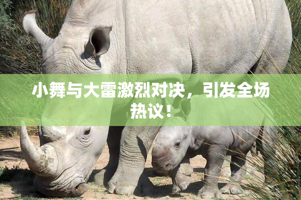 小舞与大雷激烈对决，引发全场热议！