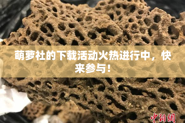 萌萝社的下载活动火热进行中，快来参与！