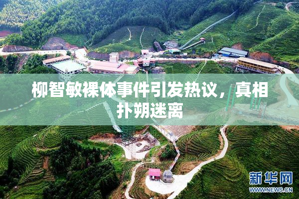 柳智敏裸体事件引发热议，真相扑朔迷离