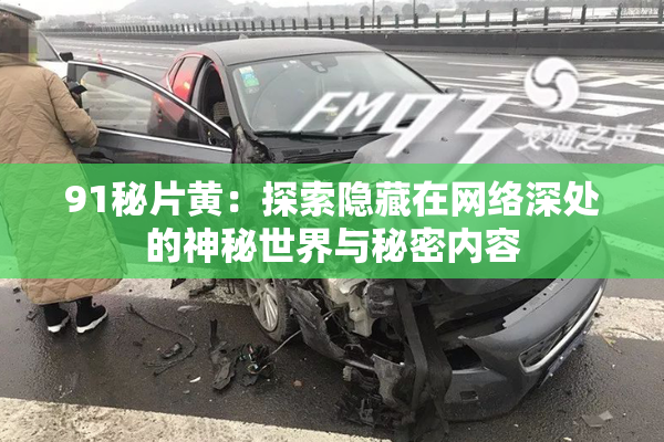 91秘片黄：探索隐藏在网络深处的神秘世界与秘密内容