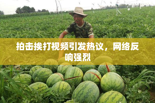 拍击挨打视频引发热议，网络反响强烈