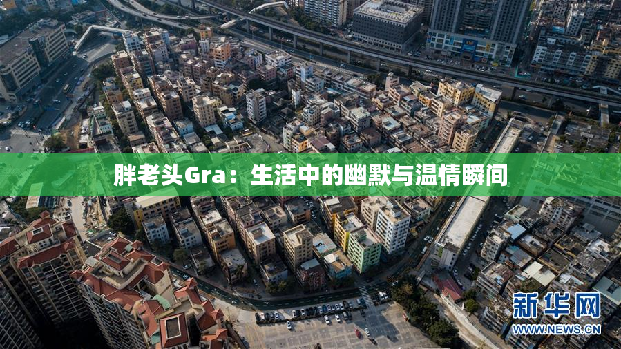 胖老头Gra：生活中的幽默与温情瞬间