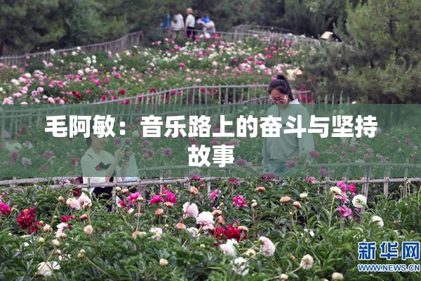 毛阿敏：音乐路上的奋斗与坚持故事