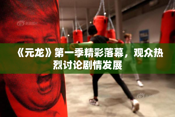 《元龙》第一季精彩落幕，观众热烈讨论剧情发展