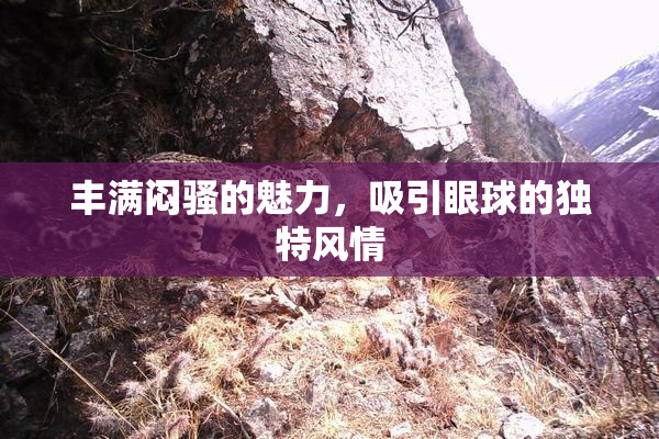 丰满闷骚的魅力，吸引眼球的独特风情