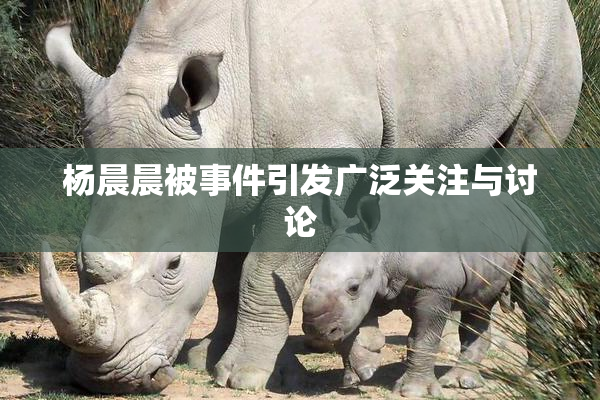 杨晨晨被事件引发广泛关注与讨论