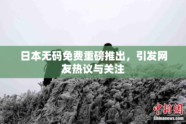 日本无码免费重磅推出，引发网友热议与关注