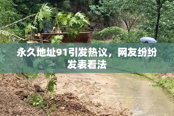 永久地址91引发热议，网友纷纷发表看法