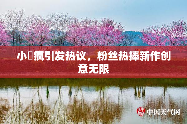 小泬疯引发热议，粉丝热捧新作创意无限