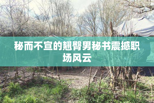 秘而不宣的翘臀男秘书震撼职场风云