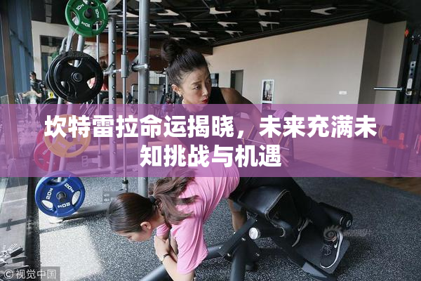 坎特雷拉命运揭晓，未来充满未知挑战与机遇