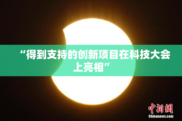 “得到支持的创新项目在科技大会上亮相”