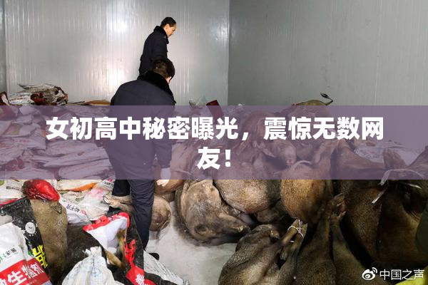 女初高中秘密曝光，震惊无数网友！