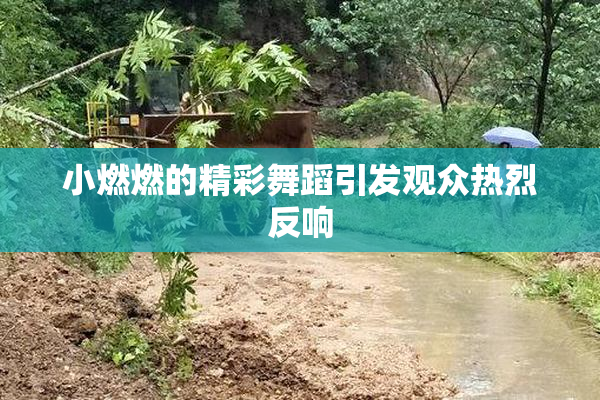 小燃燃的精彩舞蹈引发观众热烈反响
