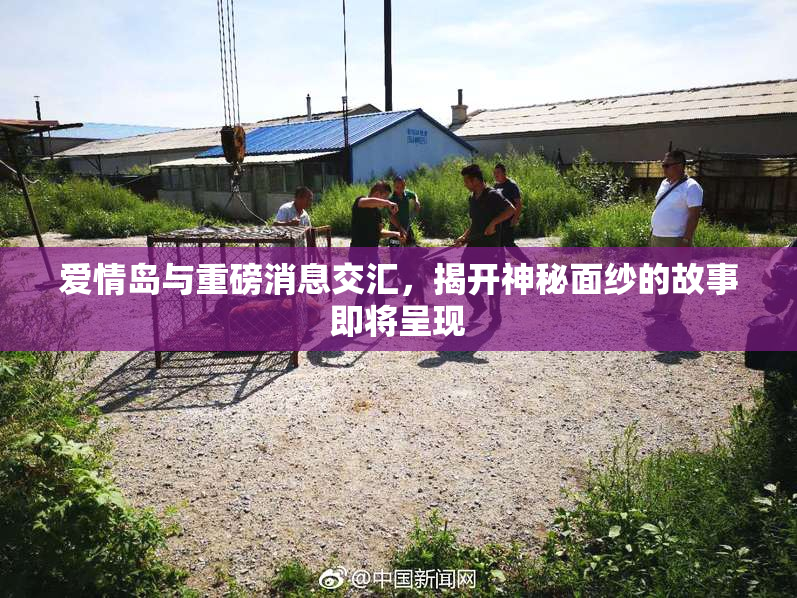 爱情岛与重磅消息交汇，揭开神秘面纱的故事即将呈现