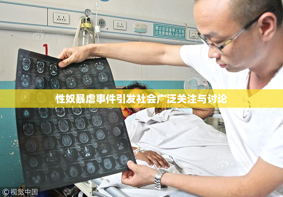 性奴暴虐事件引发社会广泛关注与讨论