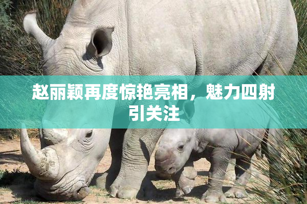 赵丽颖再度惊艳亮相，魅力四射引关注