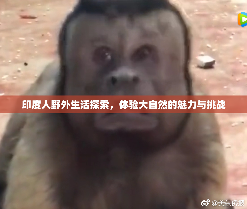 印度人野外生活探索，体验大自然的魅力与挑战