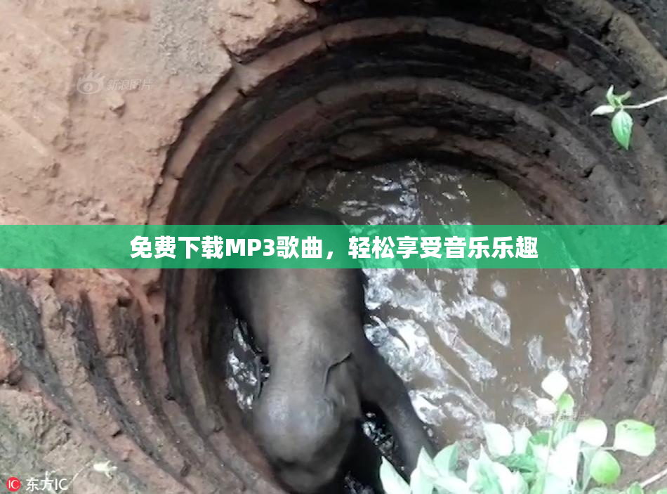 免费下载MP3歌曲，轻松享受音乐乐趣