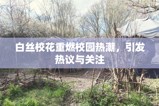 白丝校花重燃校园热潮，引发热议与关注