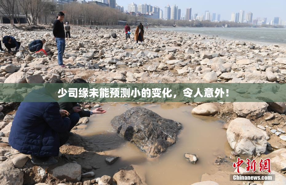 少司缘未能预测小的变化，令人意外！