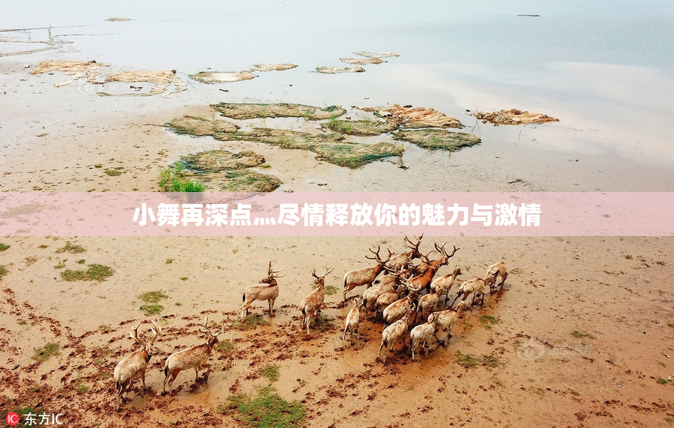 小舞再深点灬尽情释放你的魅力与激情