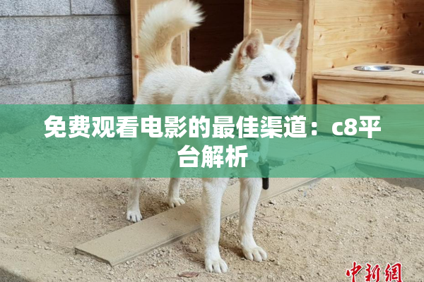免费观看电影的最佳渠道：c8平台解析