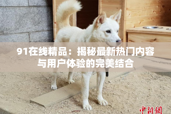 91在线精品：揭秘最新热门内容与用户体验的完美结合