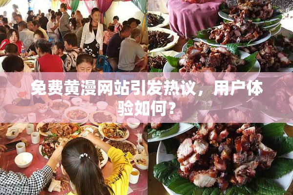 免费黄漫网站引发热议，用户体验如何？