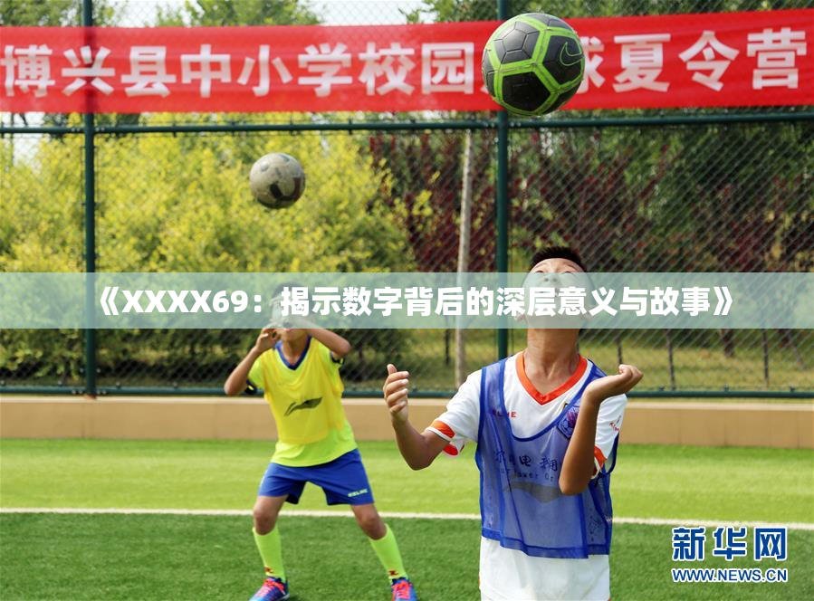 《XXXX69：揭示数字背后的深层意义与故事》