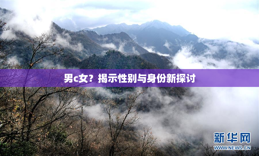 男c女？揭示性别与身份新探讨