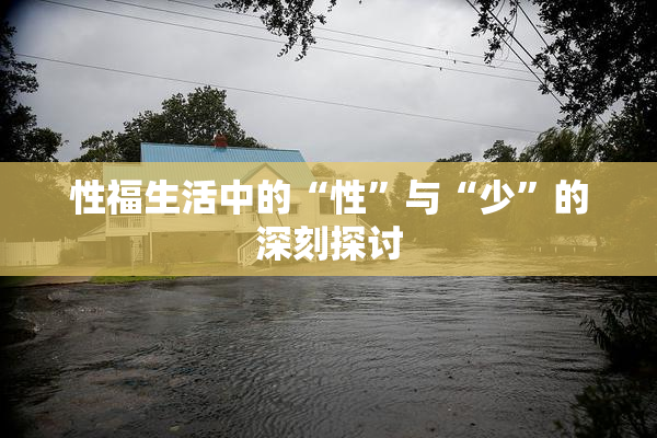 性福生活中的“性”与“少”的深刻探讨