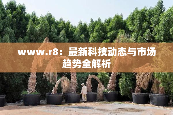 www.r8：最新科技动态与市场趋势全解析