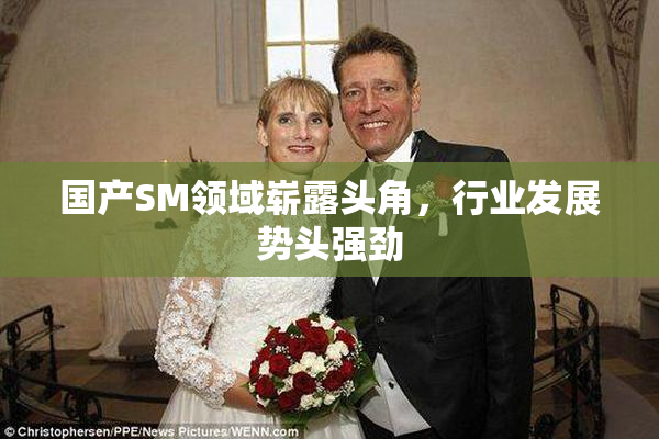国产SM领域崭露头角，行业发展势头强劲