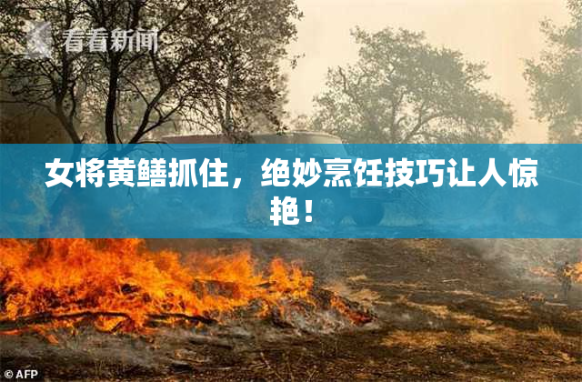 女将黄鳝抓住，绝妙烹饪技巧让人惊艳！