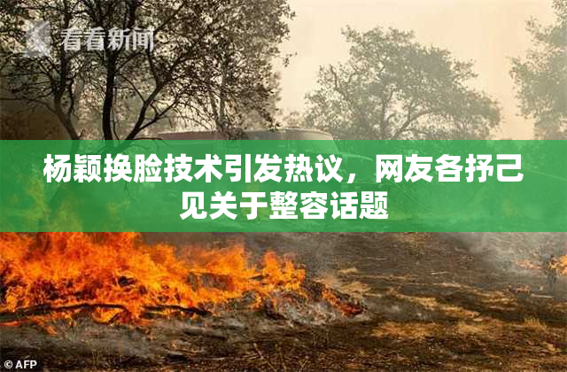 杨颖换脸技术引发热议，网友各抒己见关于整容话题