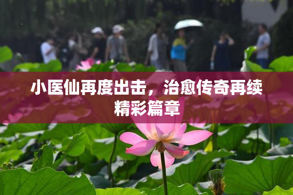小医仙再度出击，治愈传奇再续精彩篇章