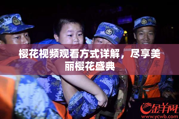 樱花视频观看方式详解，尽享美丽樱花盛典