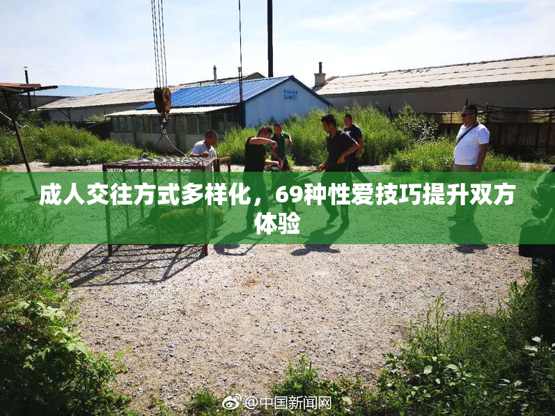 成人交往方式多样化，69种性爱技巧提升双方体验