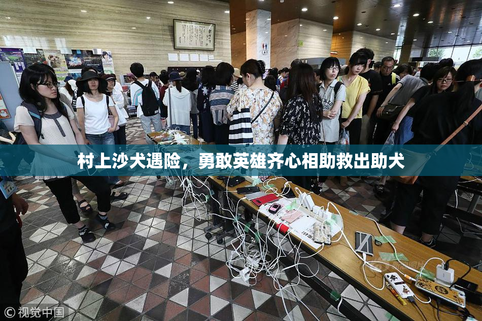 村上沙犬遇险，勇敢英雄齐心相助救出助犬