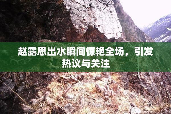 赵露思出水瞬间惊艳全场，引发热议与关注