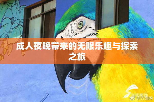 成人夜晚带来的无限乐趣与探索之旅