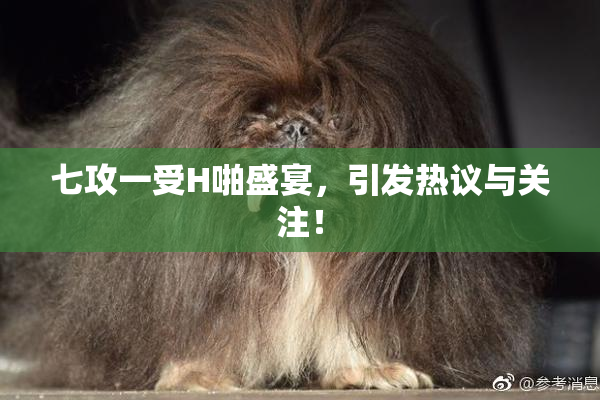 七攻一受H啪盛宴，引发热议与关注！