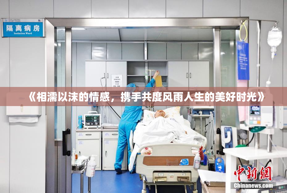 《相濡以沫的情感，携手共度风雨人生的美好时光》
