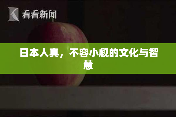 日本人真，不容小觑的文化与智慧
