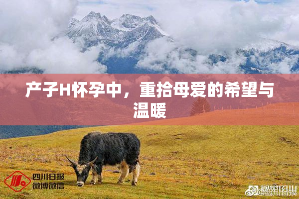 产子H怀孕中，重拾母爱的希望与温暖