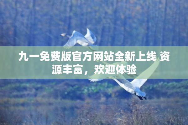九一免费版官方网站全新上线 资源丰富，欢迎体验